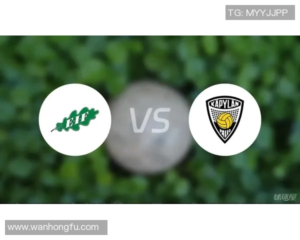 卡亚尼与埃eif的精彩对决揭示了足球战术与团队协作的完美结合