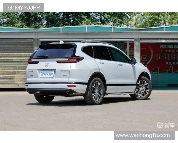 专访杨秀英：揭秘英雄联盟成功背后的策略与故事